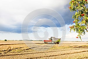 Harvester is working during harvest time in the farmers fields