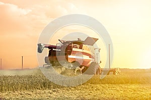Harvester is working during harvest time in the farmerâ€™s fields, machine is cutting grain plants