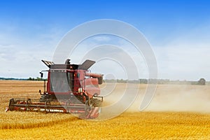 Harvester is working during harvest time in the farmerâ€™s fields, machine is cutting grain plants in sunny day