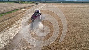 The harvester works in the field. Combine harvester collects ripe golden wheat on the field. View from above. Wheat