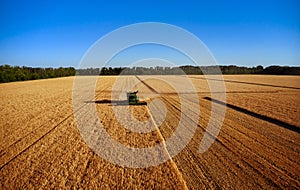 Harvester works in the field. Combine Harvesting Wheat, top view of a wheatfield. Field field of cereals during