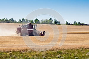 Harvester works in the field. Harvesting