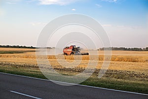 Harvester on a yellow field harvests grain