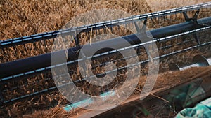 Harvesters for harvesting grain while working. View from the combine harvester cab, harvesting machinery in the field