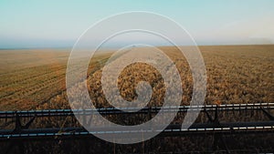 Harvesters for harvesting grain while working. View from the combine harvester cab, harvesting machinery in the field