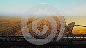 Harvesters for harvesting grain while working. View from the combine harvester cab, harvesting machinery in the field