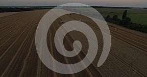 Harvesters tresh wheat aerial view