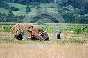 Harvesting