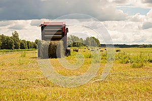 Harvesting of agricultural feed in the field