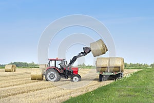 Harvesting of agricultural machinery. The tractor loads bales of hay on the machine after harvesting on a wheat field