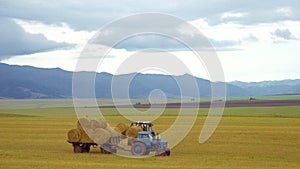 Harvesting of agricultural machinery. The tractor loads bales of hay on the machine after harvesting on a wheat field.