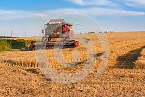 Harvesting barley in August