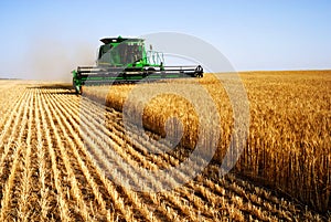 Harvesting combine photo