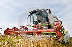 Harvesting combine in the wheat