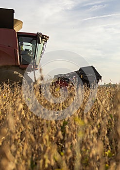 Harvesting combine in the wheat photo