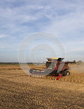 Harvesting combine in the wheat photo