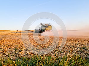 Harvesting combine working on the field of wheat at sunset time, modern agricultural transport. Combine harvester. Rich