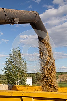 Harvesting with combines