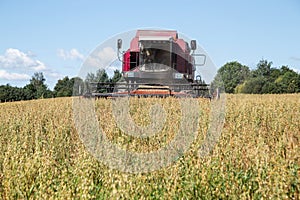 Harvesting with combines