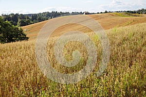 Harvesting with combines