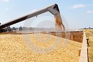 Harvesting with combines