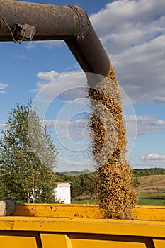 Harvesting with combines