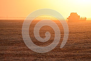 Harvesting by combines at sunset.