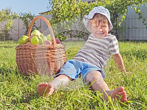 Harvesting concept. Apples in basket. Basket full of fruits. Rustic lifestyle.