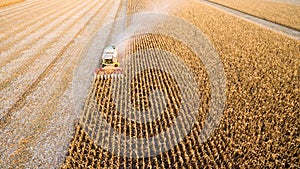 Harvesting of corn