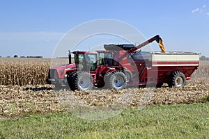 Harvesting Corn