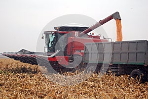 Harvesting corn