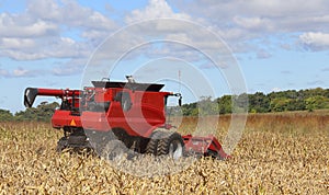 Harvesting Corn