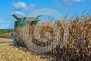 Harvesting corn by a combine harvester, followed by unloading and transportation of grain. Work in the field in the rays of the su