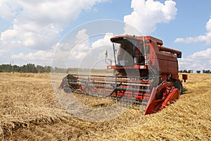 Harvesting the corn field