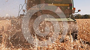 Harvesting corn field in autumn.Harvest working on corn field.