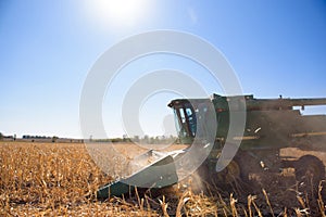 Harvesting corn field in autumn.Harvest working on corn field.