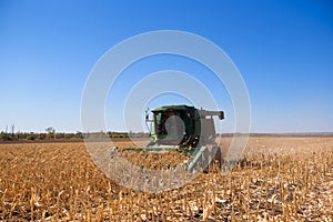 Harvesting corn field in autumn.Harvest working on corn field.