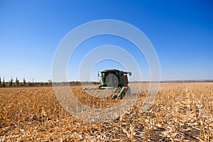 Harvesting corn field in autumn.Harvest working on corn field.