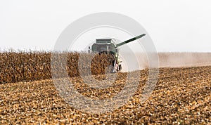 Harvesting of corn field with combine