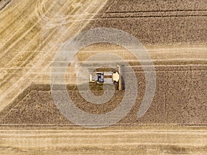 Harvesting cornbine at summer