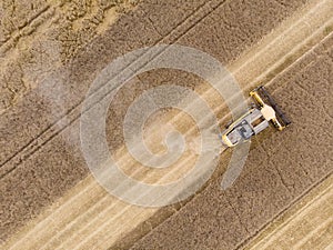 Harvesting cornbine at summer
