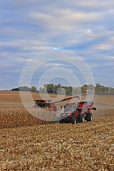 Harvesting Cornfield photo