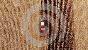 Harvesting crops aerial view drone