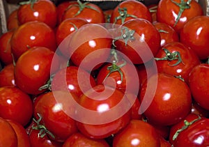 Red tomatoes with green twigs in a heap background