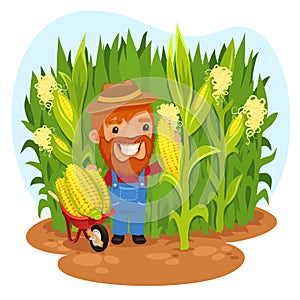 Harvesting Farmer In a Cornfield