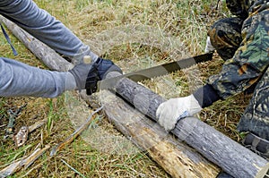 Harvesting firewood for the fire in the taiga