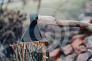 harvesting firewood for the winter ax nature outdoors for a fire