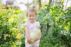 Harvesting in garden. happy child holds vegetable squash. first baby food. low allergenic product