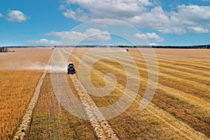 Harvesting a grain crop in a biphasic manner. Grain harvesters pick up and thresh the mowed swaths of the ear.