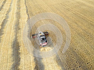 Harvesting of grain crops.Harvesting wheat,oats and barley in fields,ranches and farmlands.Combines mow wheat in the field.Agro-